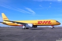 ݸ߿DHL