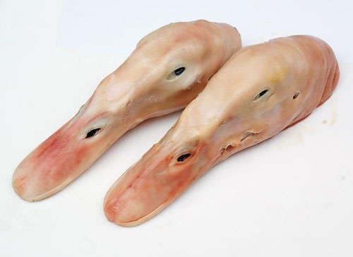 䶳ʳƷʸɻ