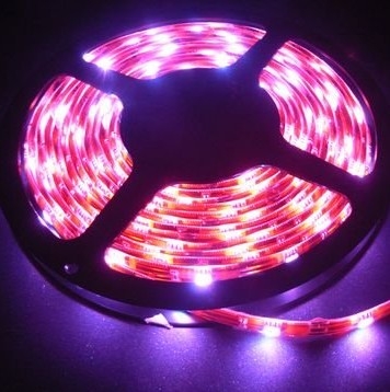 5050LED