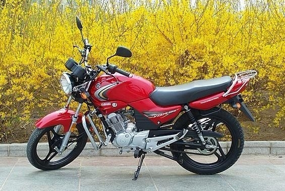 YBR125
