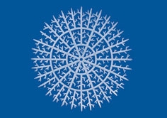 ż͸ʴ