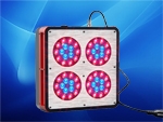 LEDֲ-4ͷ