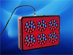 ledֲ-6ͷ