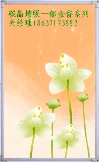 ̼ǽůļҺ(500W700W)