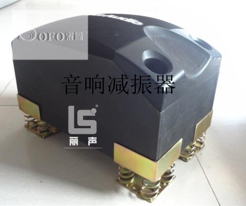 (DS-1)