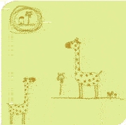 ֽ(ɫ)