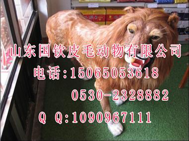ͷ涯ʨ