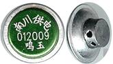 Ǧ(012009)