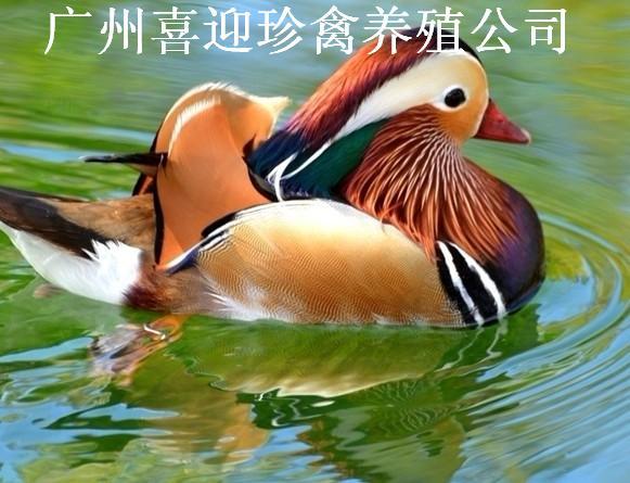 ݹͶɽԧ칩Ӧ