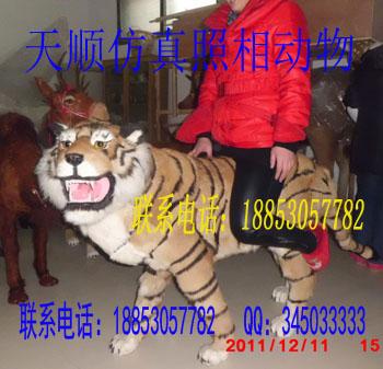 ϻ(123123123)