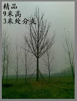 13869956257