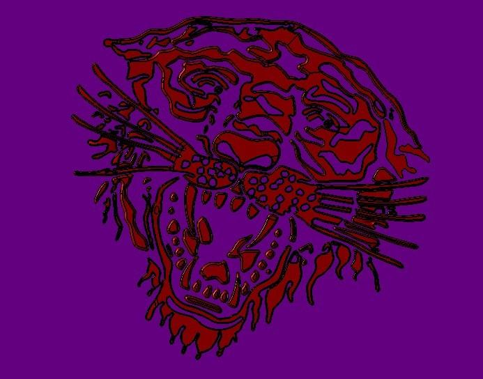 ϴױPVAƬ