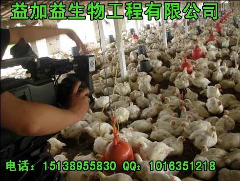 淢ʹʹ