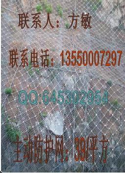 SNS柔性防护网,钢丝绳主动网