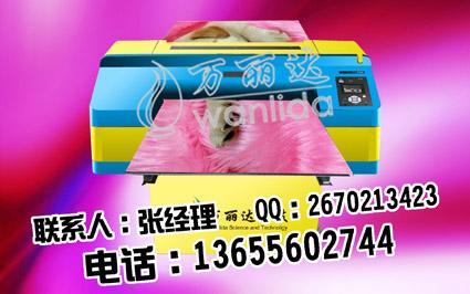 uvӡ(4290)