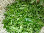 中山茶叶招商加盟,是茶搜搜