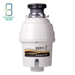 ʳBH91