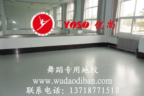 北京舞蹈塑胶地板舞蹈塑胶板