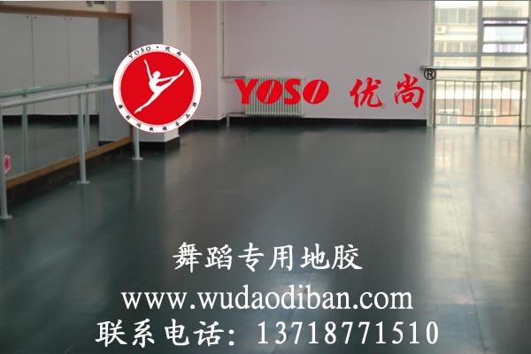 北京塑胶地板总经销商l舞蹈塑胶