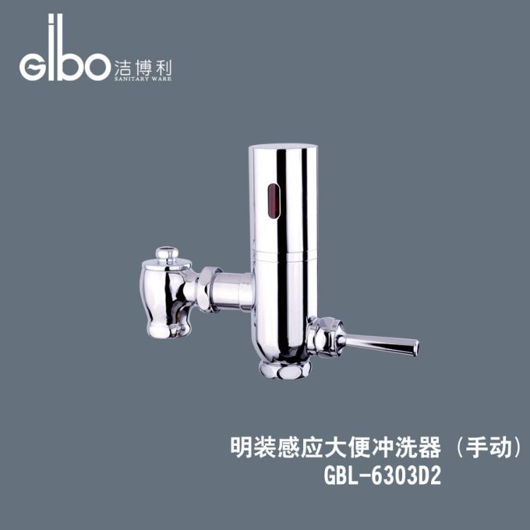 Ӧױϴ(GBL-6303)