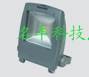 LEDͶ30W