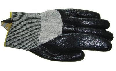 طи