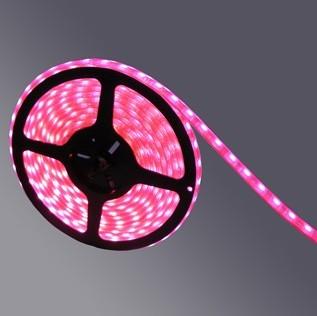 LED(3528-SL)
