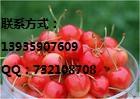 10ӣ10ӣ