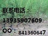 Ӧ2-2.5ײ