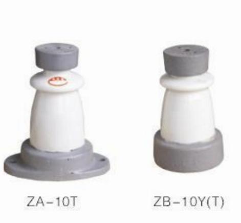 ZA-12Y֧Ե