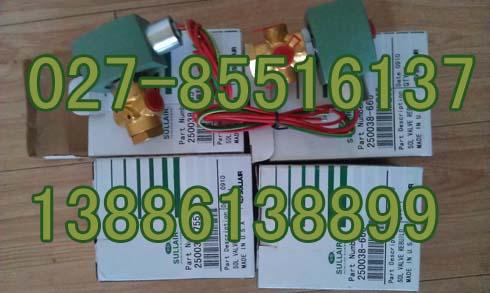 250038-666