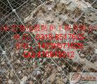 ·(GAR2)