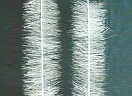 嵯