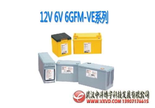 12V6V6GFM-VE