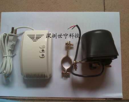 ȼ̽ⱨ(Sn-838-1)