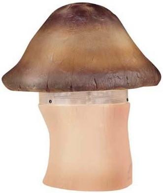 ĢͲݵ(B-050)
