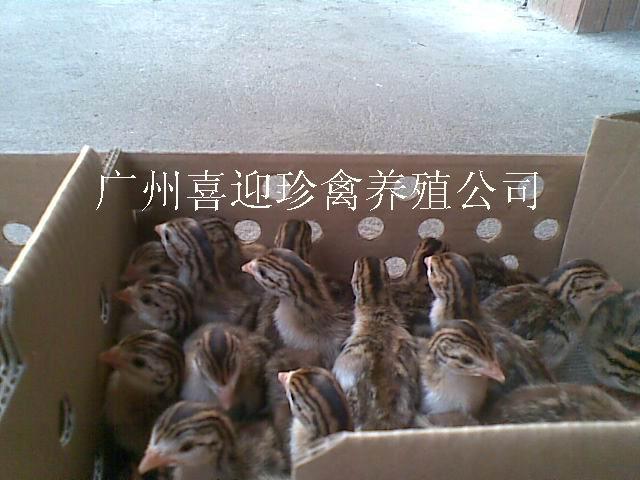 ͷҰѼ۸
