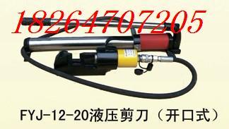 FYJ-12-20Һѹ
