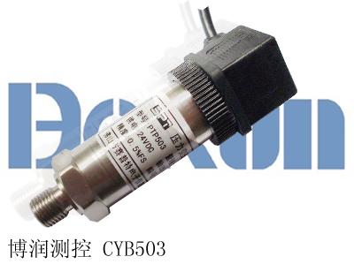 Һѹ۸(CYB501)