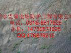 被动防护网服务品质