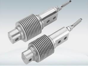 HSX-A-100kgֱ