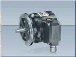 POG10DN2024I+FS