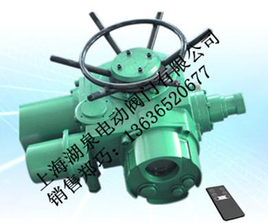 DZW电动执行器