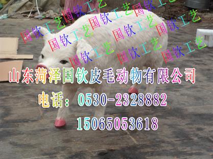 ģ÷