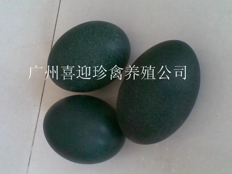 ŵ
