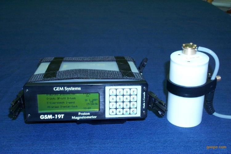 ӴGSM19T