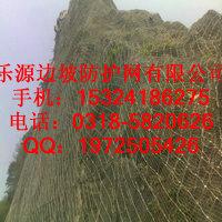 廳·ʩ