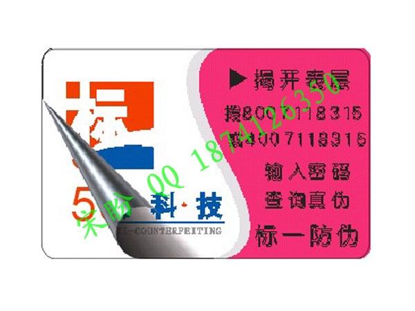 䶳ɽǩ
