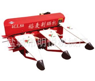 4GL80ɹ