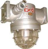DGS40/127Y(F)